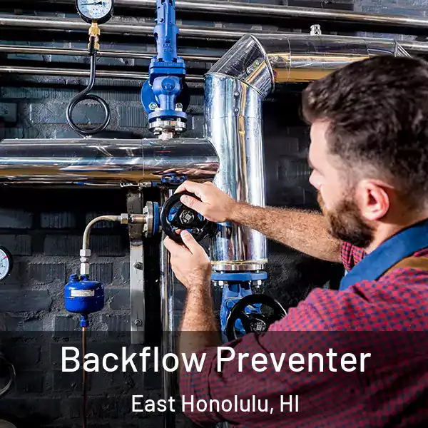  Backflow Preventer East Honolulu, HI