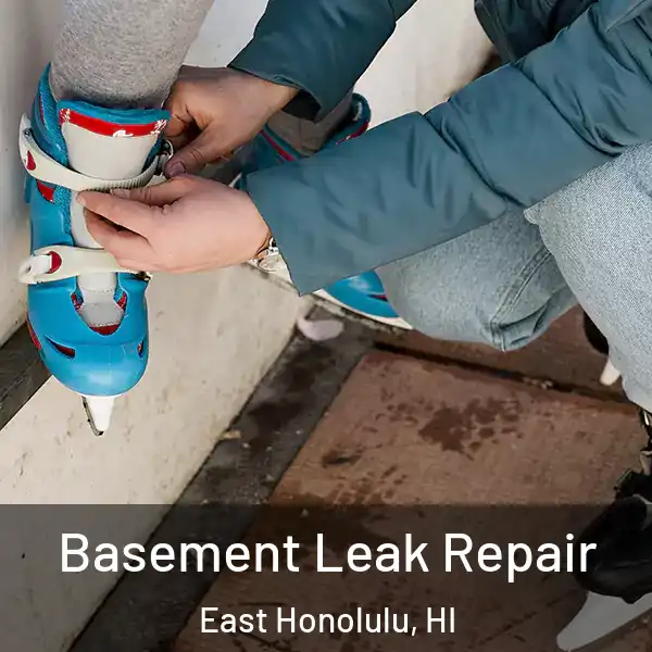  Basement Leak Repair East Honolulu, HI