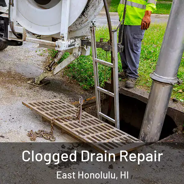  Clogged Drain Repair East Honolulu, HI