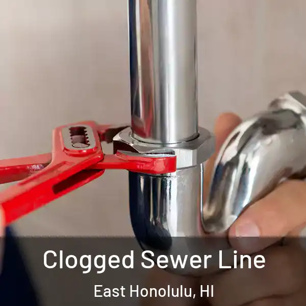  Clogged Sewer Line East Honolulu, HI