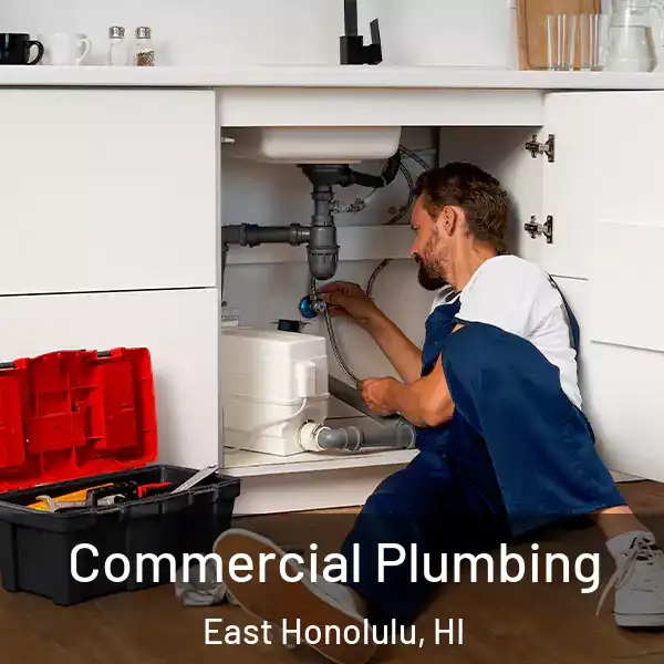  Commercial Plumbing East Honolulu, HI