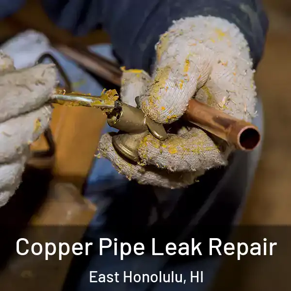  Copper Pipe Leak Repair East Honolulu, HI