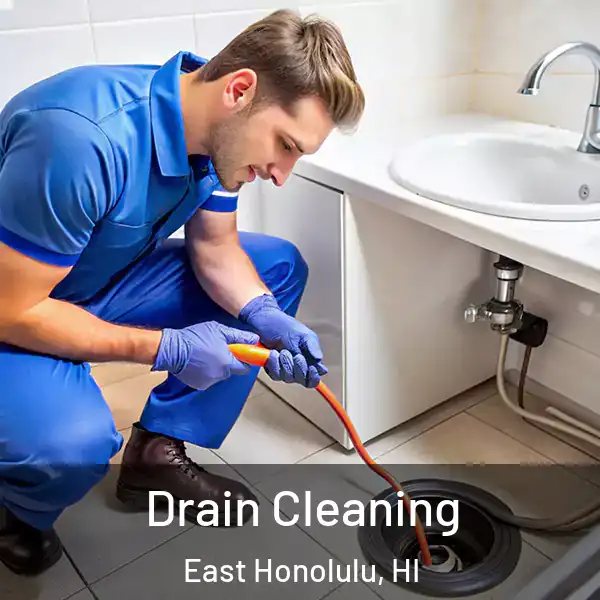  Drain Cleaning East Honolulu, HI