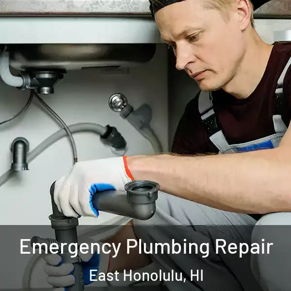  Emergency Plumbing Repair East Honolulu, HI