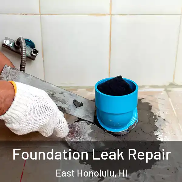  Foundation Leak Repair East Honolulu, HI