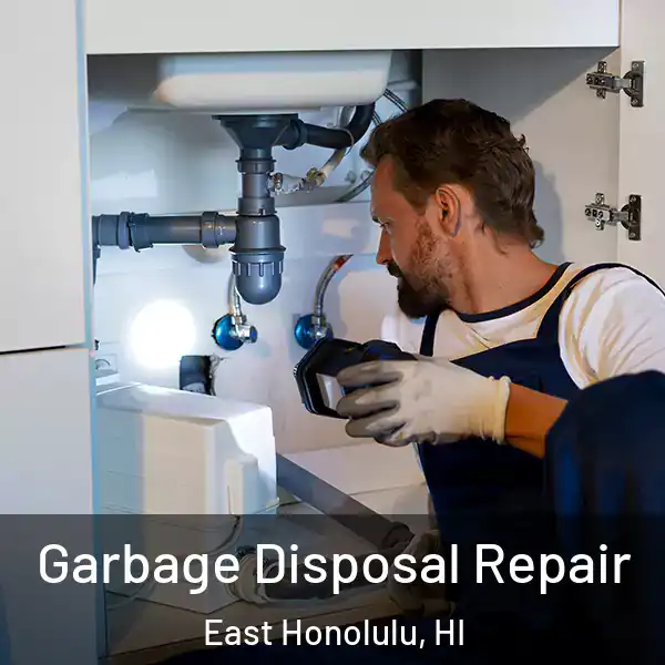  Garbage Disposal Repair East Honolulu, HI