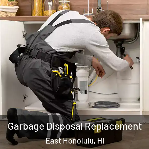  Garbage Disposal Replacement East Honolulu, HI