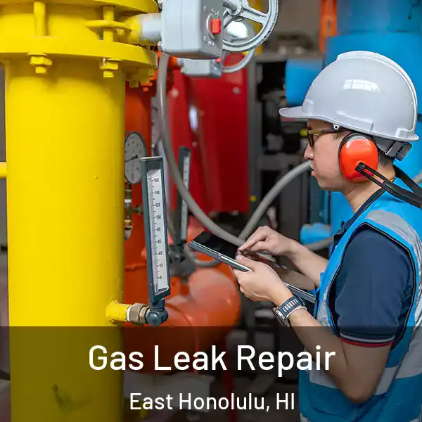 Gas Leak Repair East Honolulu, HI