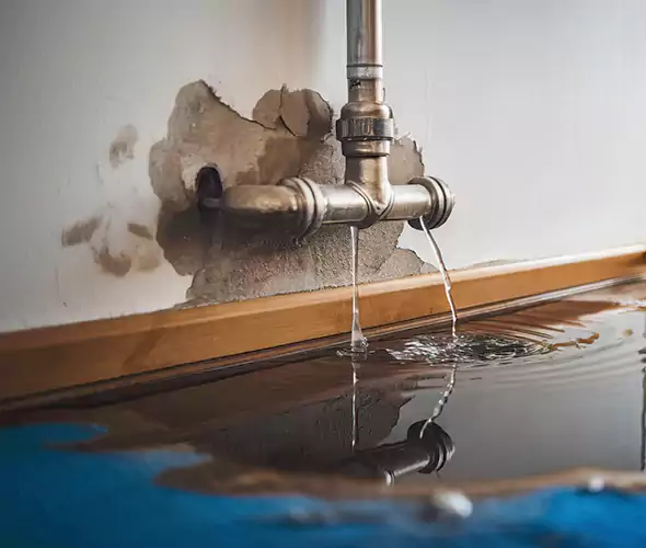 Professional Water Damage Restoration Experts in East Honolulu, HI — Fast, Reliable & Certified