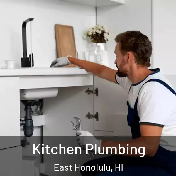  Kitchen Plumbing East Honolulu, HI