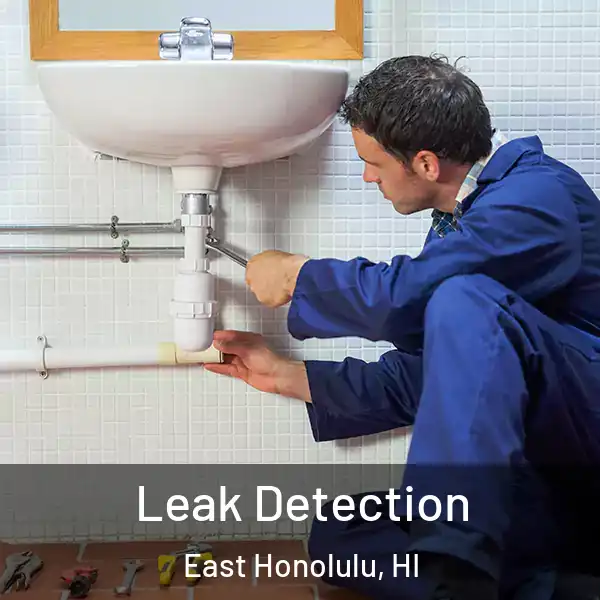  Leak Detection East Honolulu, HI