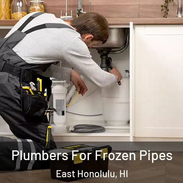  Plumbers For Frozen Pipes East Honolulu, HI