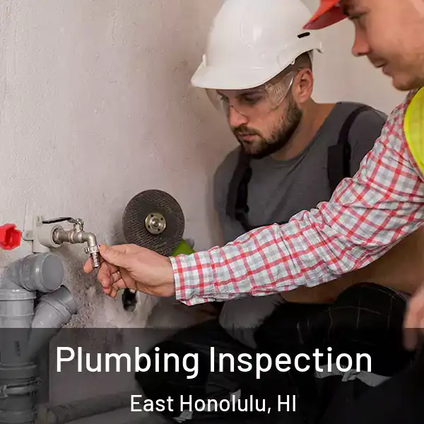  Plumbing Inspection East Honolulu, HI