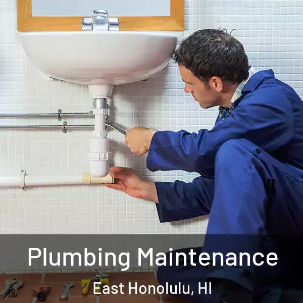  Plumbing Maintenance East Honolulu, HI