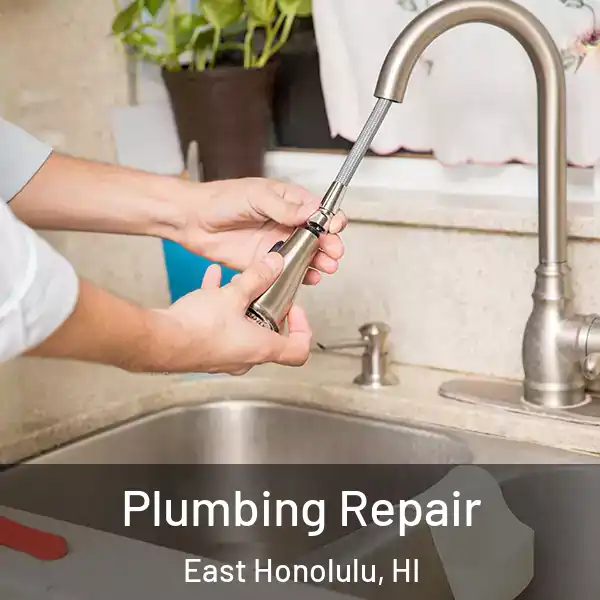  Plumbing Repair East Honolulu, HI