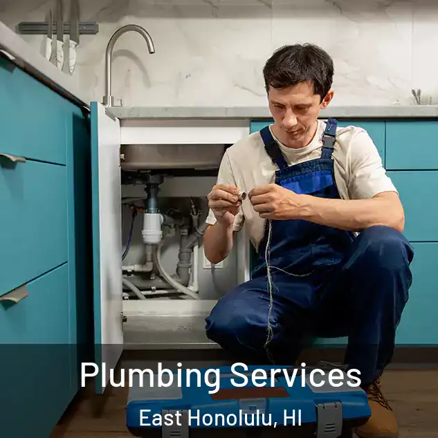  Plumbing Services East Honolulu, HI