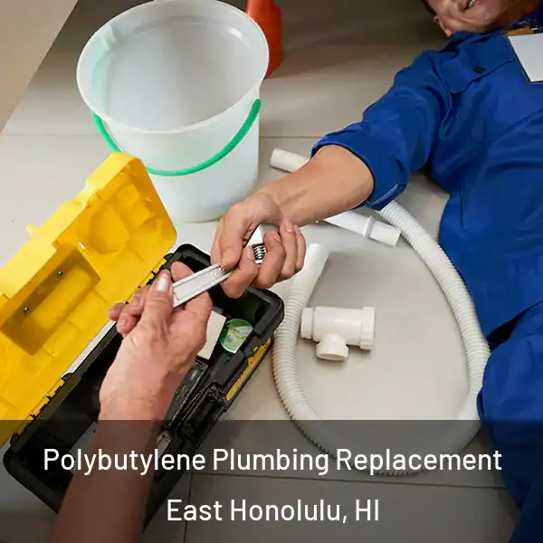  Polybutylene Plumbing Replacement East Honolulu, HI