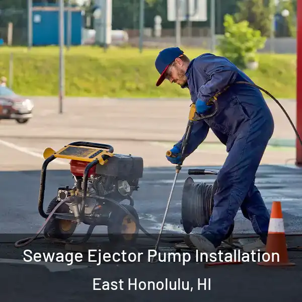  Sewage Ejector Pump Installation East Honolulu, HI