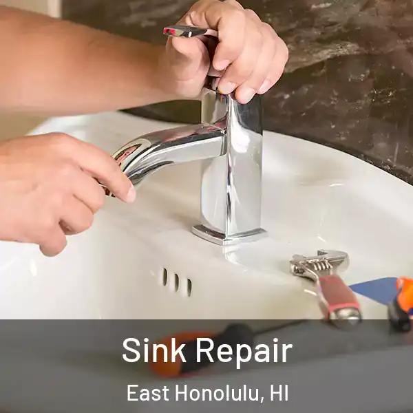  Sink Repair East Honolulu, HI