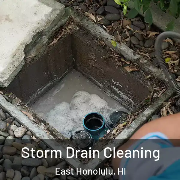  Storm Drain Cleaning East Honolulu, HI