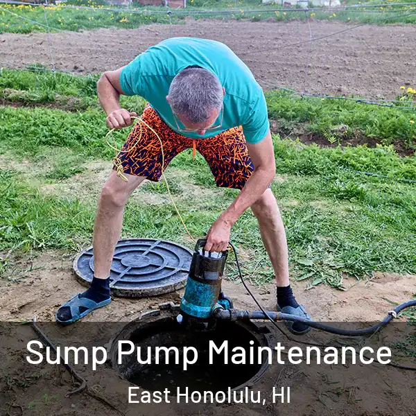  Sump Pump Maintenance East Honolulu, HI