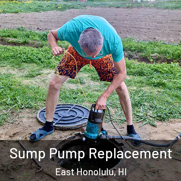  Sump Pump Replacement East Honolulu, HI