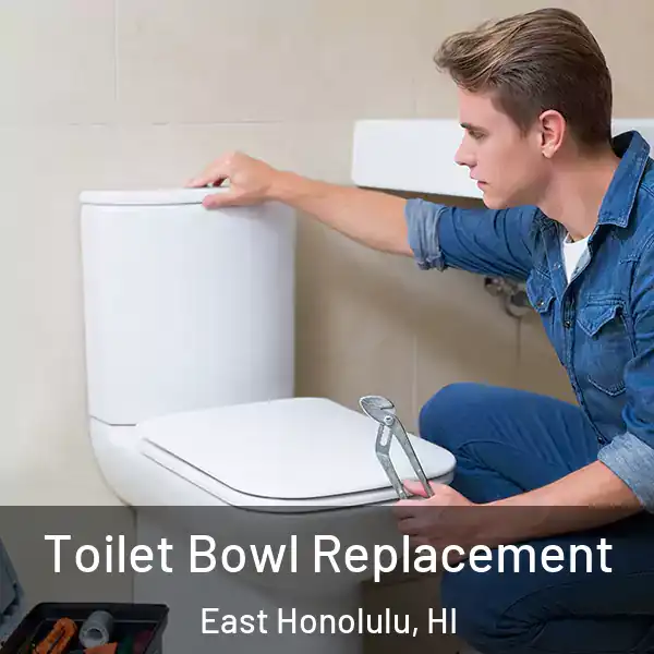  Toilet Bowl Replacement East Honolulu, HI