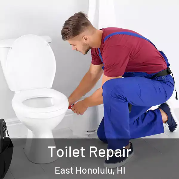  Toilet Repair East Honolulu, HI
