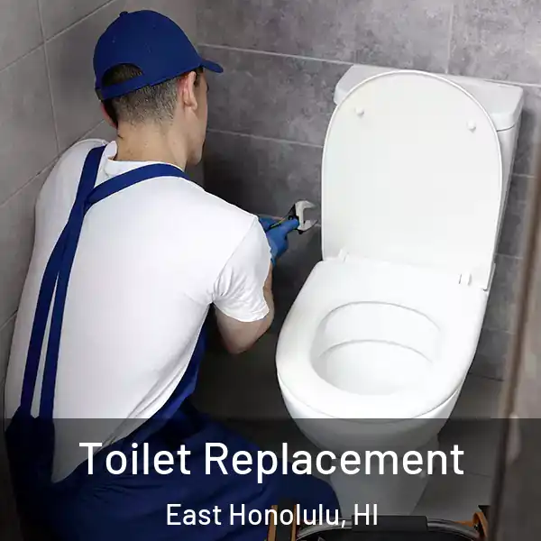  Toilet Replacement East Honolulu, HI
