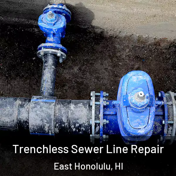  Trenchless Sewer Line Repair East Honolulu, HI
