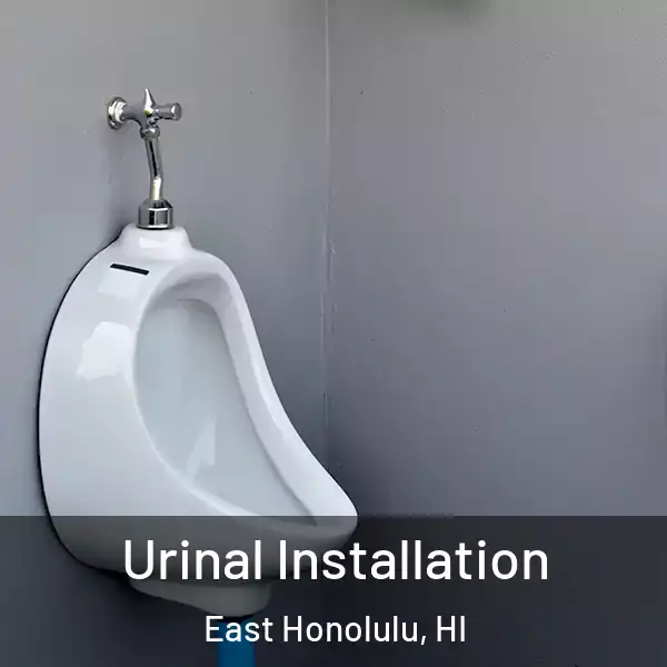  Urinal Installation East Honolulu, HI