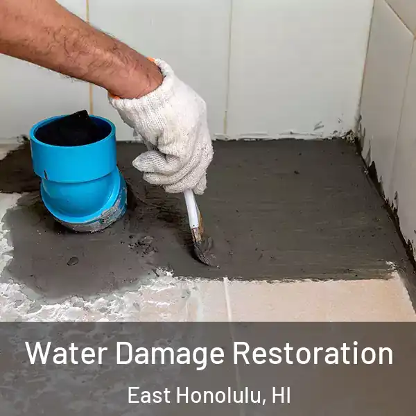  Water Damage Restoration East Honolulu, HI