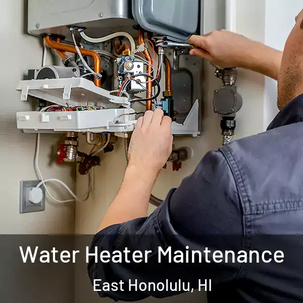  Water Heater Maintenance East Honolulu, HI