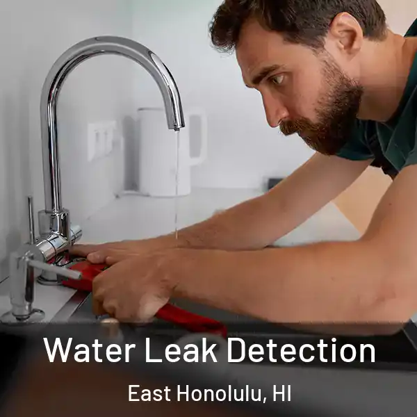  Water Leak Detection East Honolulu, HI