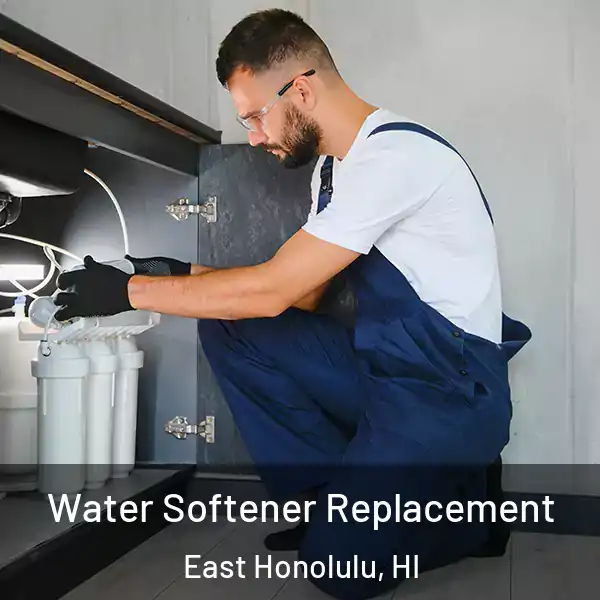 Water Softener Replacement East Honolulu, HI