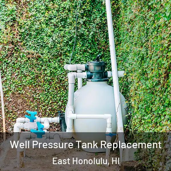  Well Pressure Tank Replacement East Honolulu, HI