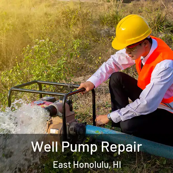  Well Pump Repair East Honolulu, HI