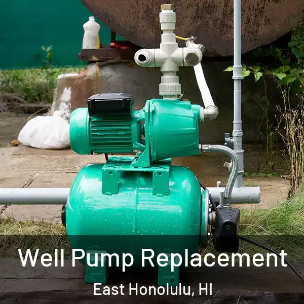  Well Pump Replacement East Honolulu, HI